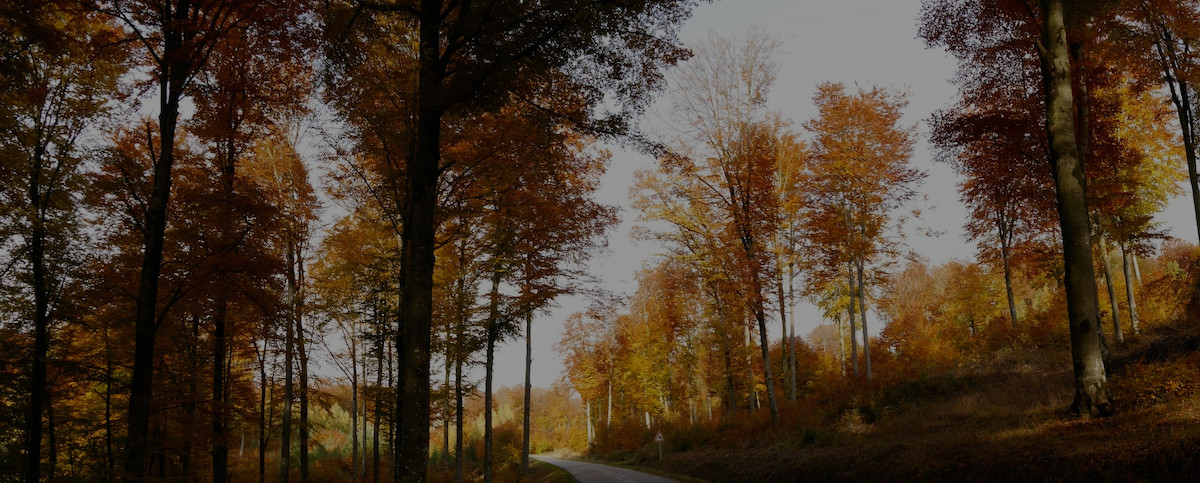 parallax background